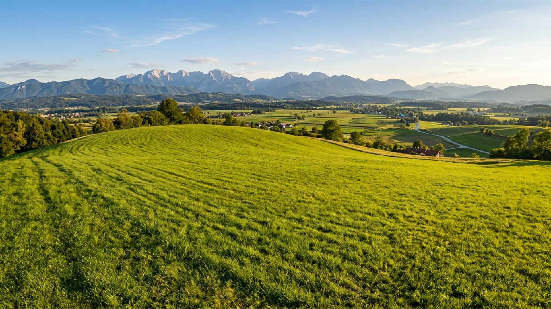 Kako izbrati pravo parcelo